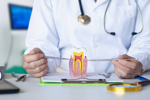 Best Emergency Treatment for Toothache in Audubon Park, KY